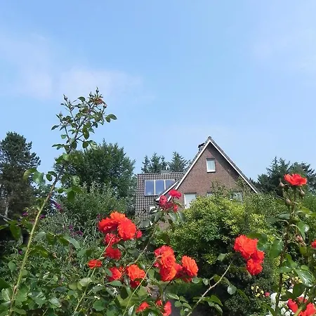 Daire Haus *ueues Aran* Nr. 4 Nebel